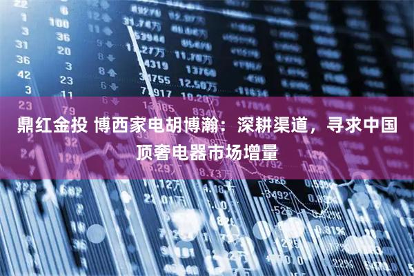 鼎红金投 博西家电胡博瀚：深耕渠道，寻求中国顶奢电器市场增量