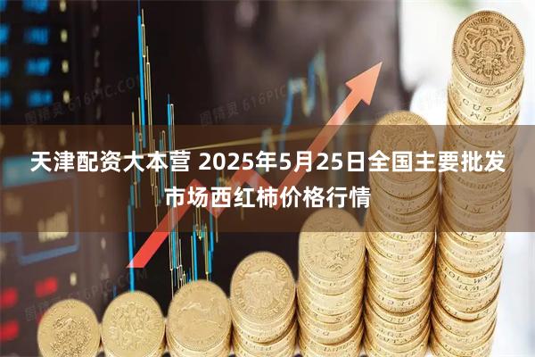 天津配资大本营 2025年5月25日全国主要批发市场西红柿价格行情