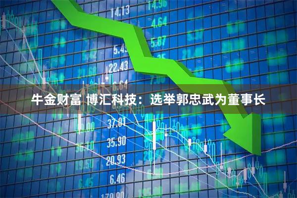牛金财富 博汇科技：选举郭忠武为董事长