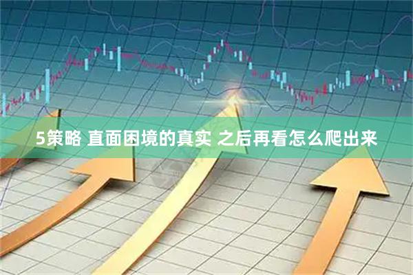5策略 直面困境的真实 之后再看怎么爬出来