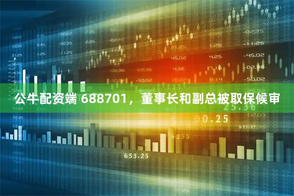 公牛配资端 688701，董事长和副总被取保候审