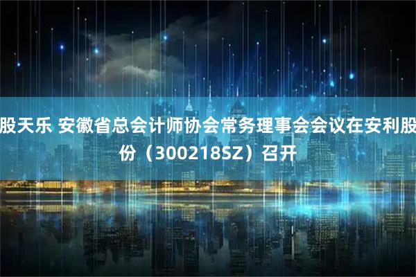 股天乐 安徽省总会计师协会常务理事会会议在安利股份（300218SZ）召开