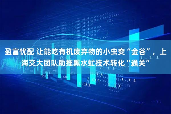 盈富忧配 让能吃有机废弃物的小虫变“金谷”，上海交大团队助推黑水虻技术转化“通关”
